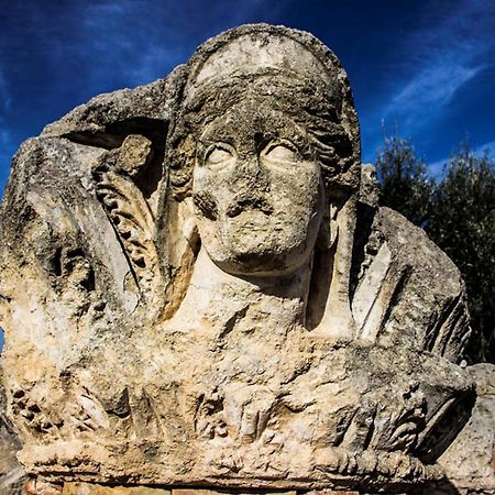 Villa Casa Levante Canosa di Puglia Exterior foto